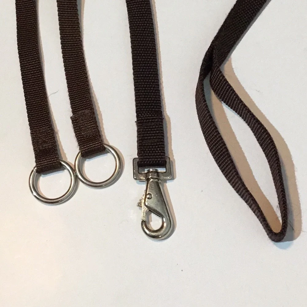 Slip collar & leash, sturdy nylon, brown color, 1” wide, metal hardware